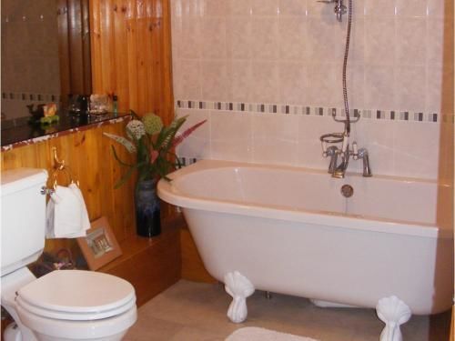 Ashley House Bed & Breakfast Dundee Ngoại thất bức ảnh